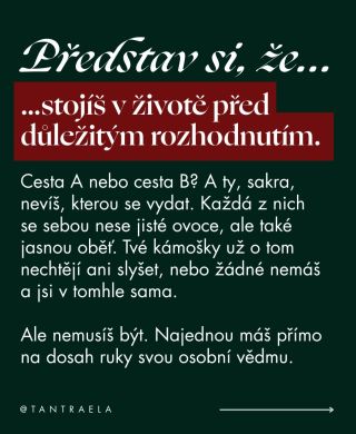 Tohle tu ještě nebylo. Ne. Tohle je jedna z nejhodnotnějších věcí, na kterých jsem v posledních dnech makala a které jsem...